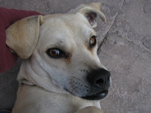 adoro estar en los brazos de mi kerida dueña...¡¡¡¡ n.n adoro estar en los brazos de mi kerida dueña...¡¡¡¡ n.n